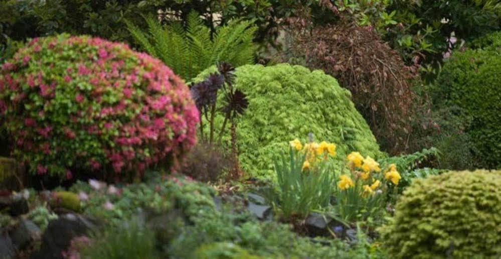 Beechmont Garden Retreat Konuk evi Olinda Dış mekan fotoğraf