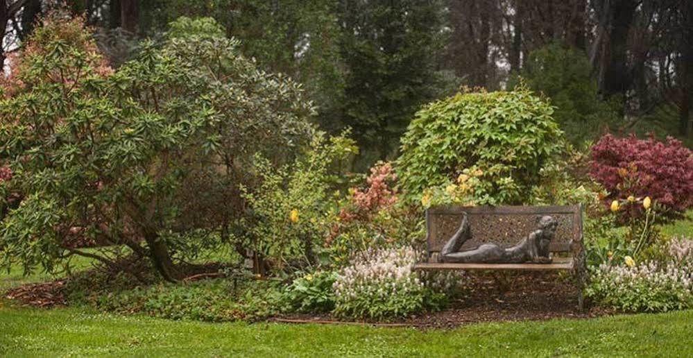 Beechmont Garden Retreat Konuk evi Olinda Dış mekan fotoğraf