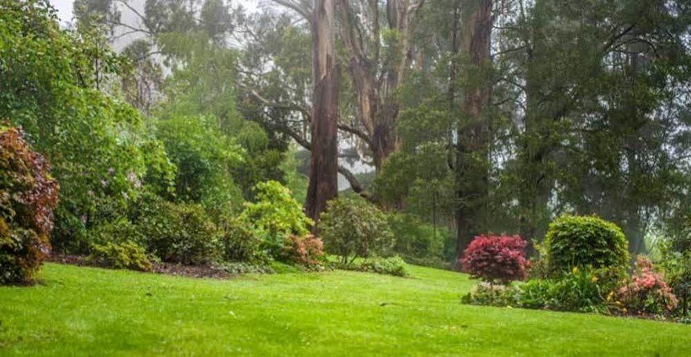 Beechmont Garden Retreat Konuk evi Olinda Dış mekan fotoğraf
