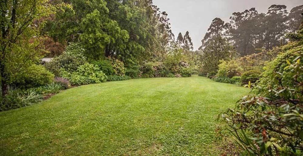 Beechmont Garden Retreat Konuk evi Olinda Dış mekan fotoğraf