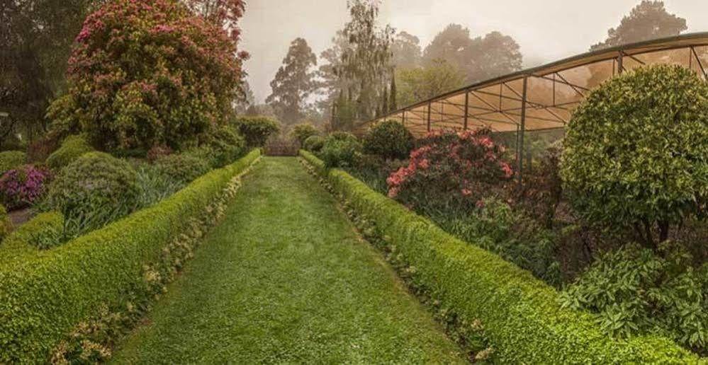 Beechmont Garden Retreat Konuk evi Olinda Dış mekan fotoğraf