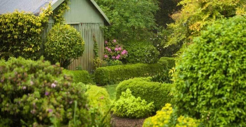 Beechmont Garden Retreat Konuk evi Olinda Dış mekan fotoğraf