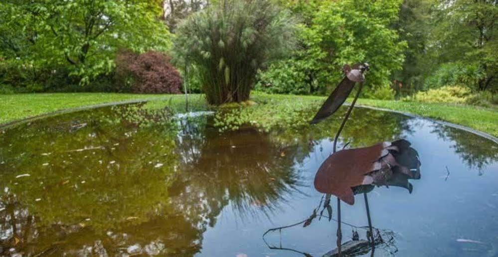 Beechmont Garden Retreat Konuk evi Olinda Dış mekan fotoğraf